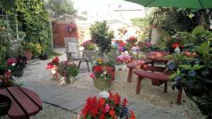 Hayleaze front Garden1