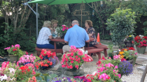 Hayleaze front Garden4