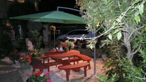 Hayleaze front Garden6
