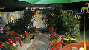 Hayleaze front Garden7